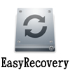 EasyRecovery Professional 6.12.02